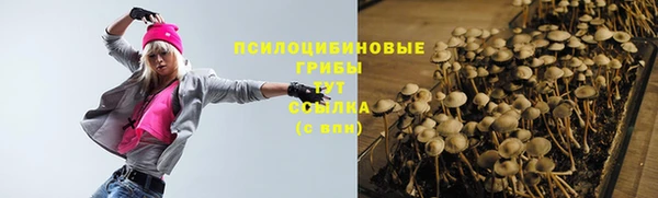 ГАЛЛЮЦИНОГЕННЫЕ ГРИБЫ Абинск