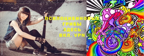 ГАЛЛЮЦИНОГЕННЫЕ ГРИБЫ Абинск