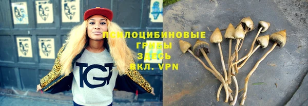 амф Алексеевка