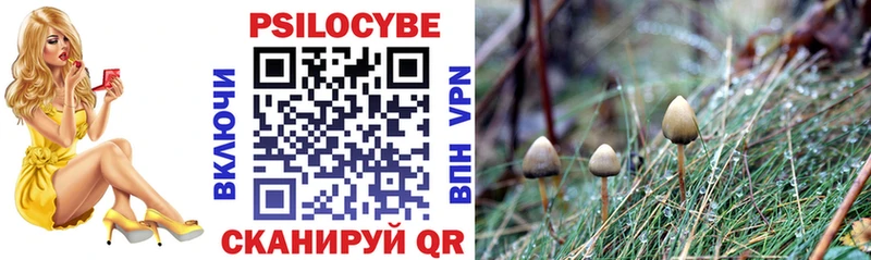 купить наркотики сайты  Сергач  Псилоцибиновые грибы прущие грибы 